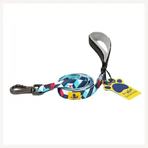 A a Pets' Leash in Geometric Design