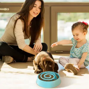 Dog Cat Slow Feeder Bowl
