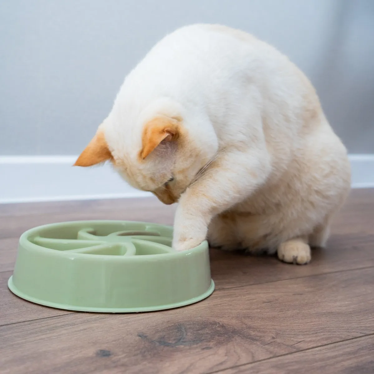 Dog Slow Feeder Bowl Green Pink
