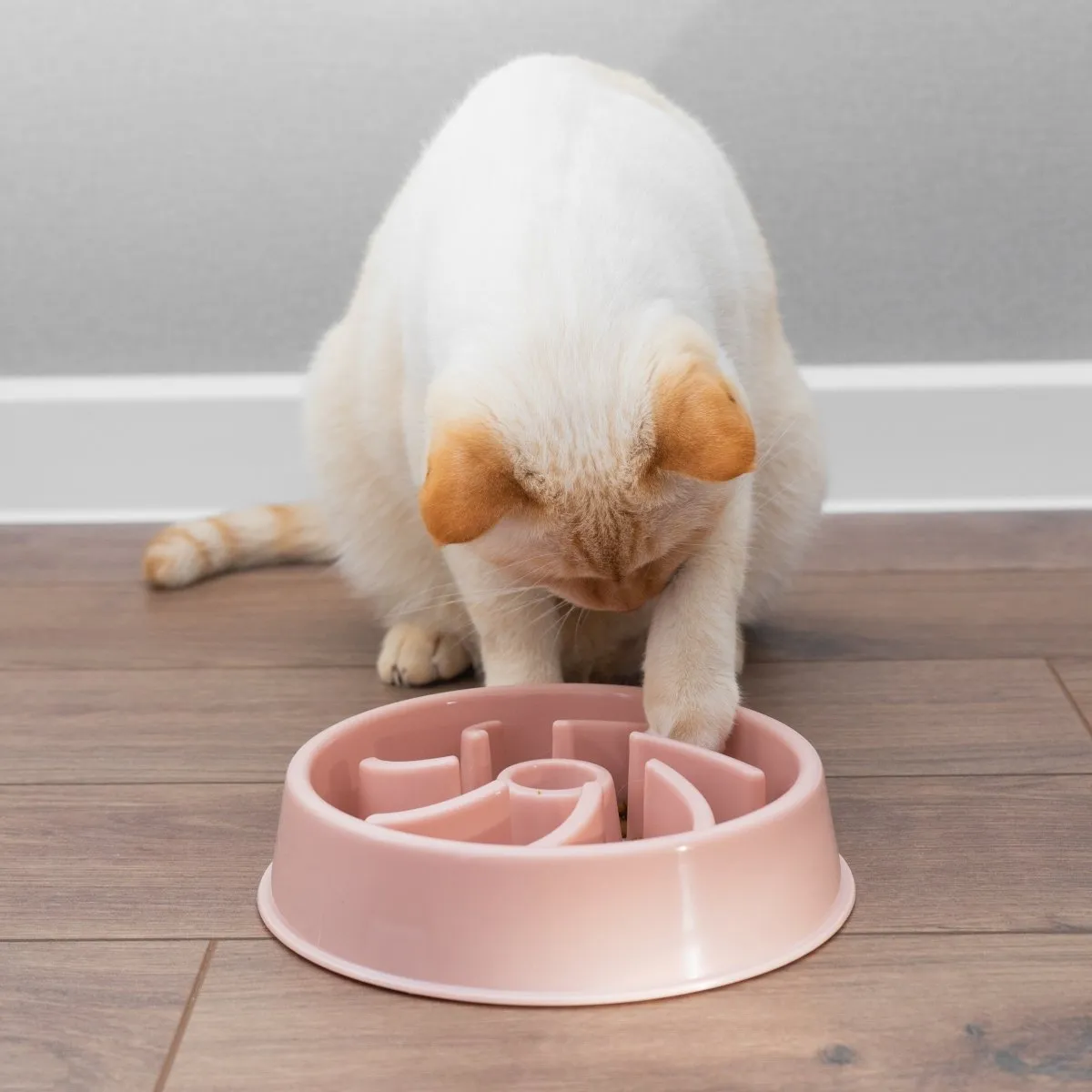 Dog Slow Feeder Bowl Green Pink