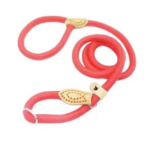 Heavy Duty Nylon Adjustable Dog Leash