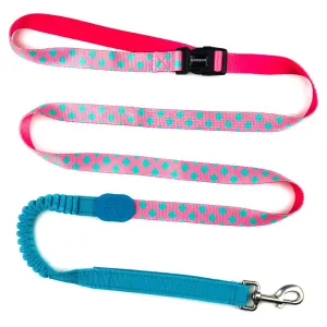 HiDREAM Profusion Multifunctional Dog Leash (Bobby)