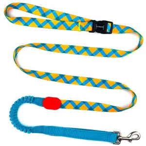 HiDREAM Profusion Multifunctional Dog Leash (Sunrise)