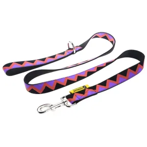 HiDREAM Rainbow Upgraded Dog Leash (Black)