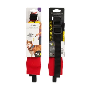 RadDog All-In-One Collar   Leash