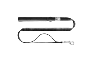 RC Pet Bungee Traffic Leash