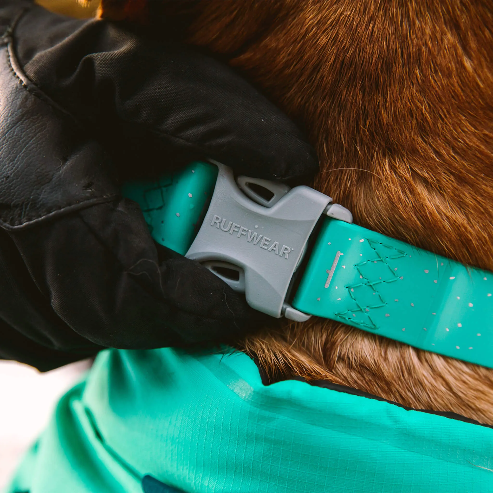 RuffWear Confluence Collar Aurora Teal for Dogs
