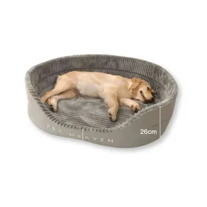Soft Padded Dog Bed