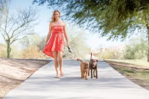 Wigzi Dual Doggie Retractable Leash